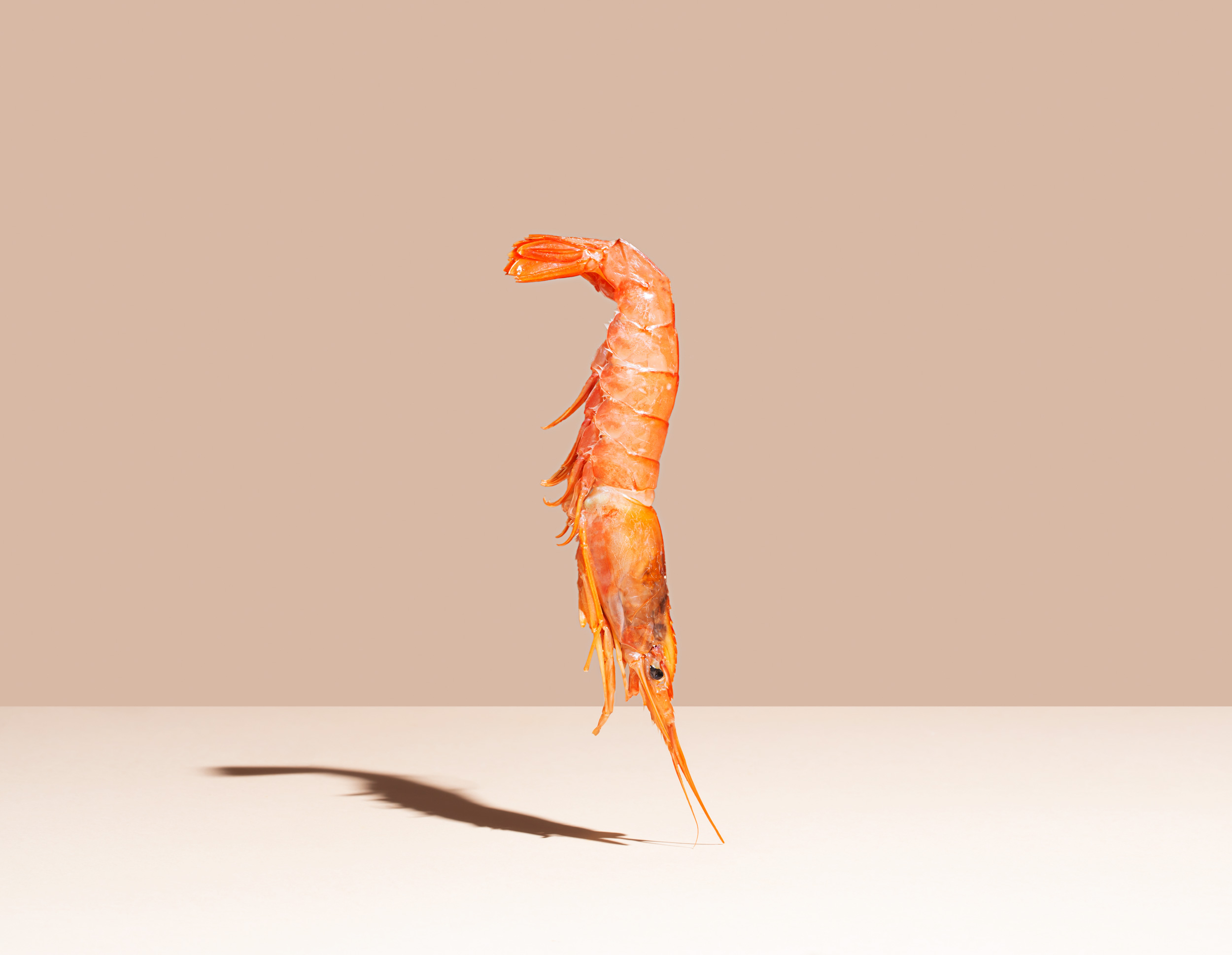 red-shrimp-on-beige-background-minimalistic-conce-2021-08-30-00-04-41-utc