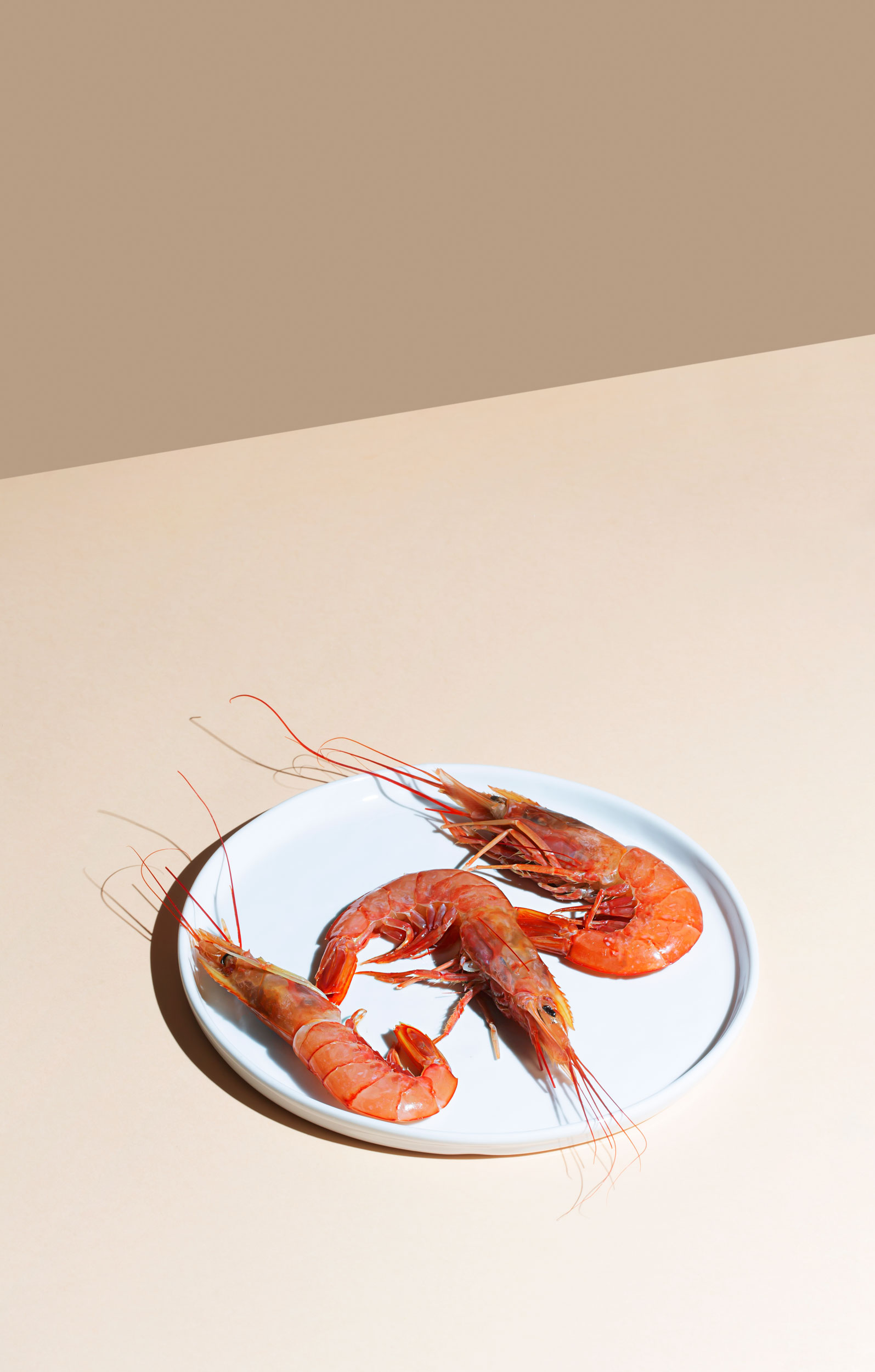 red-shrimps-on-a-white-plate-and-beige-background-2021-08-30-00-04-42-utc