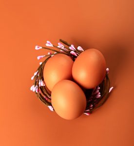 chicken-eggs-in-a-nest-on-a-beige-background-mini-2022-02-15-23-53-58-utc